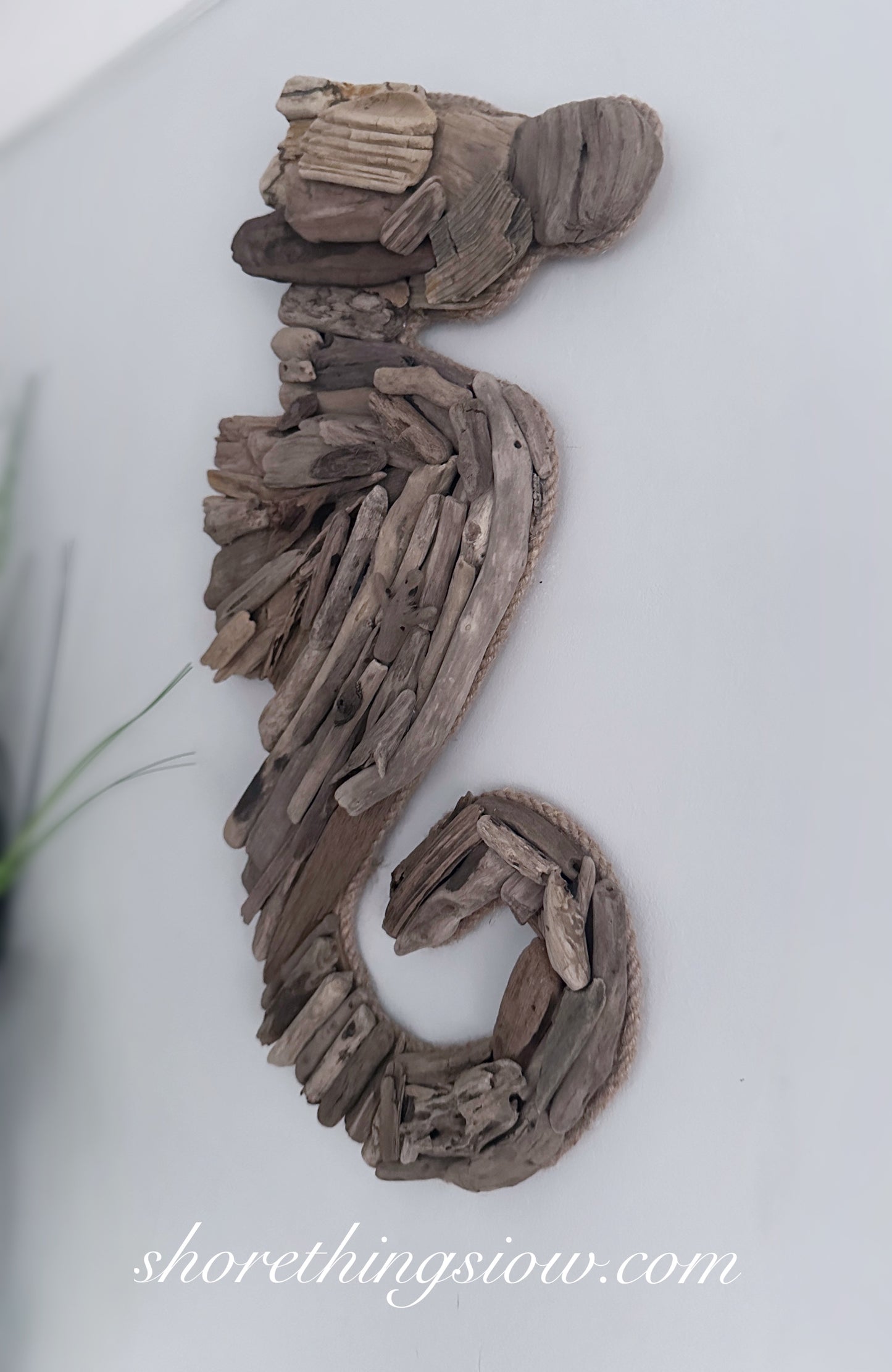 Driftwood Seahorse 35cm