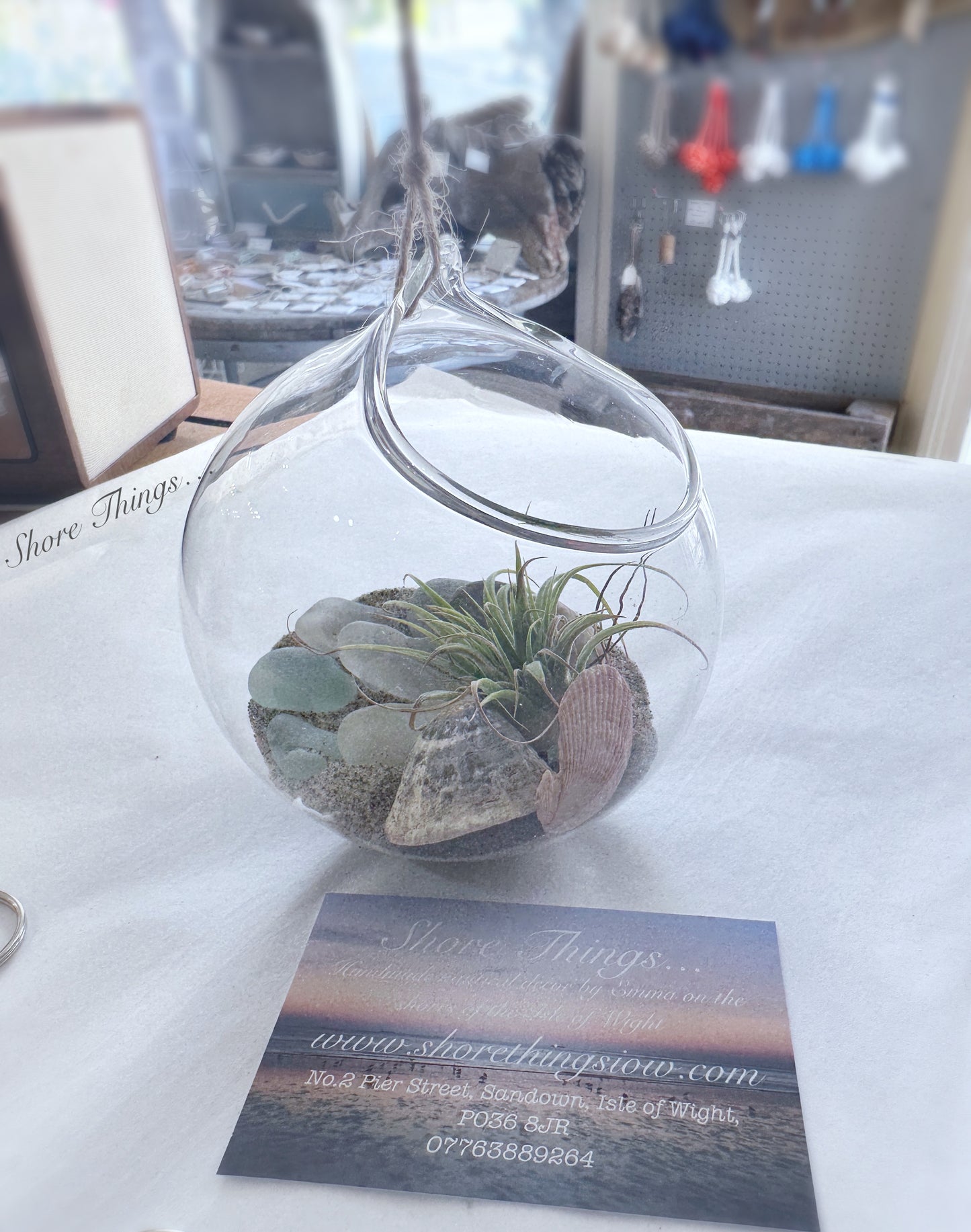 Air Plant Glass Bauble