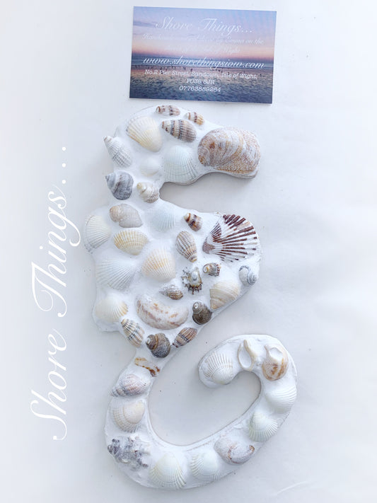Seashell Seahorse 11”