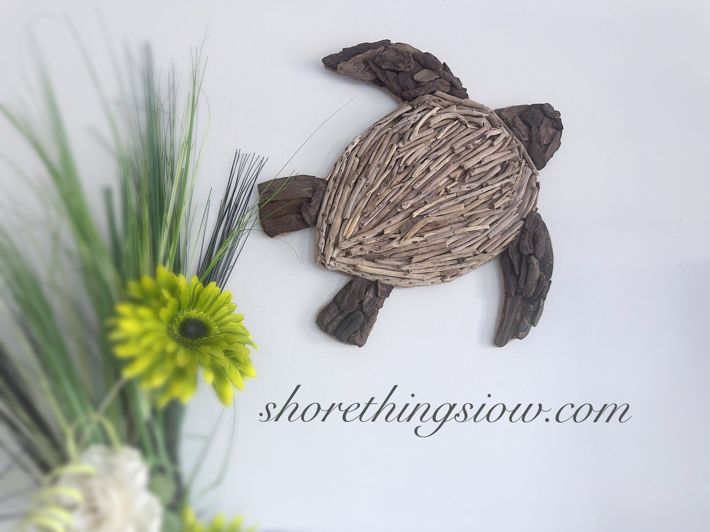 Driftwood Turtle