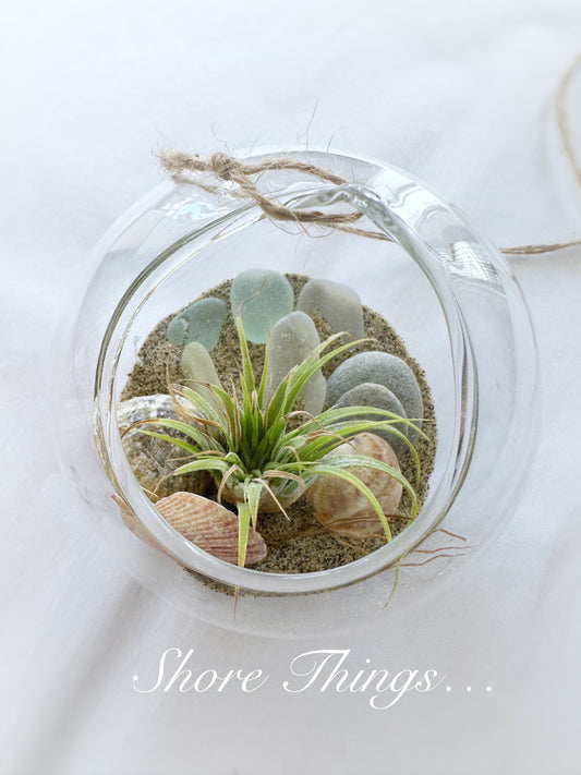 Air Plant Glass Bauble