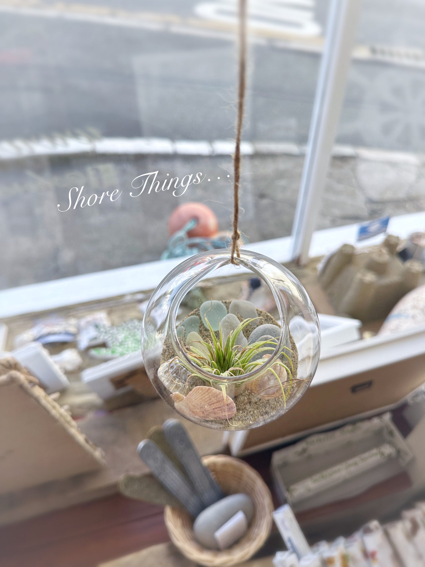 Air Plant Glass Bauble