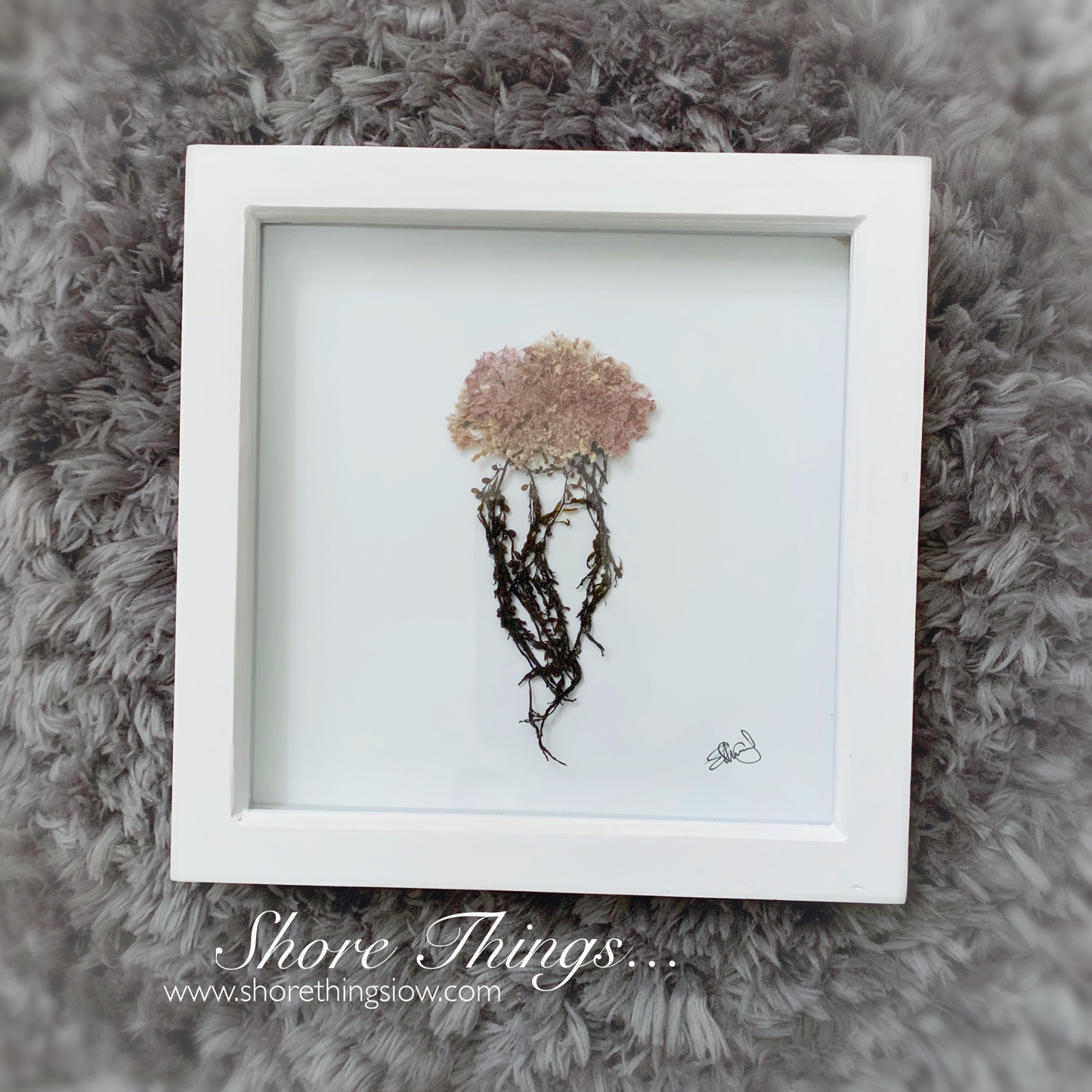 Seaweed Jellyfish Box Frame Art
